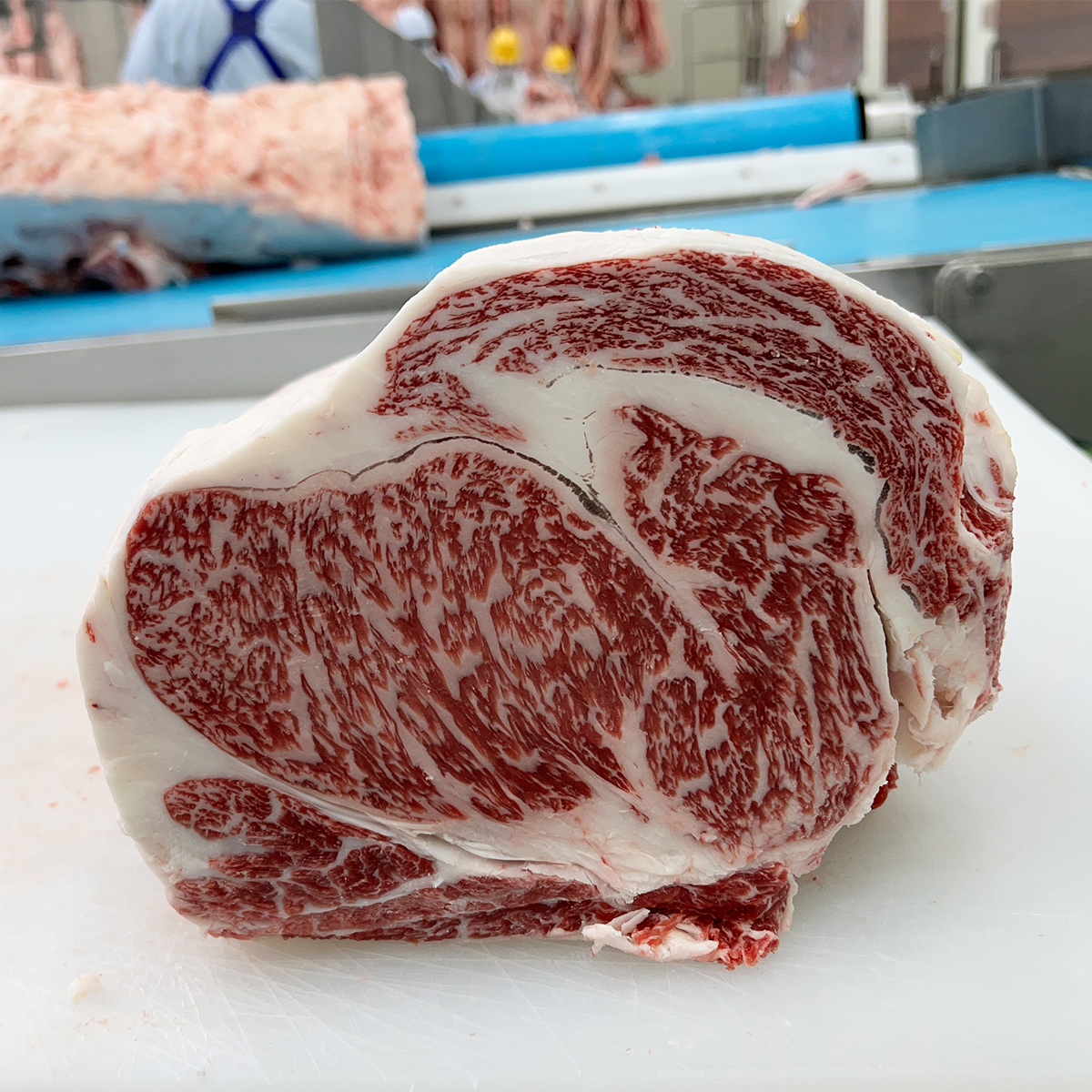 kagoshima wagyu