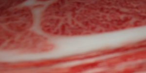 wagyu beef