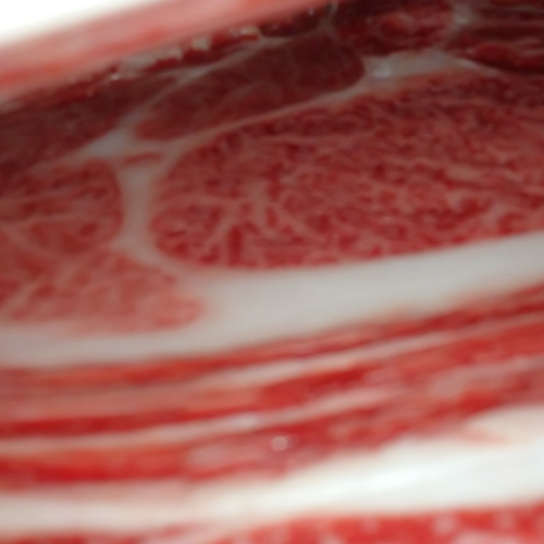 wagyu beef