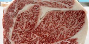 kasgoshima wagyu export to singapore